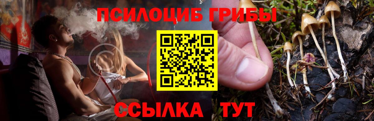 Псилоцибиновые грибы GOLDEN TEACHER Мценск
